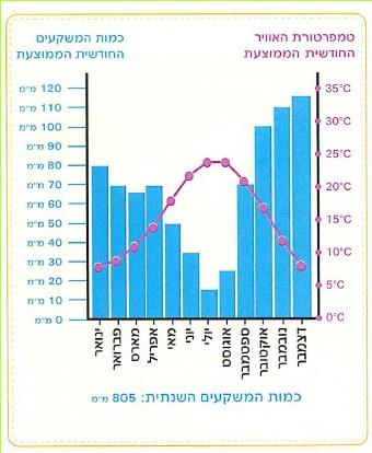 קלימוגרף של רומא
